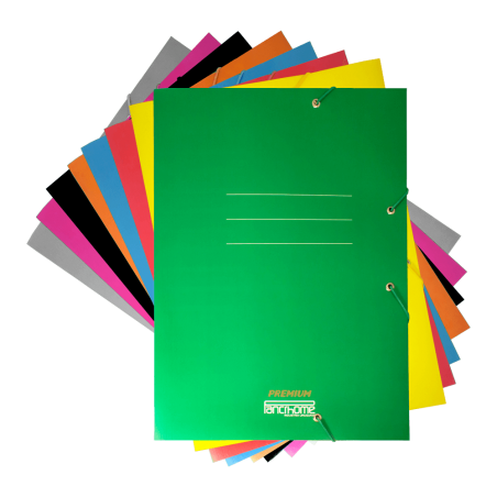 CARPETA ELAS.PANCRHOME 309/360